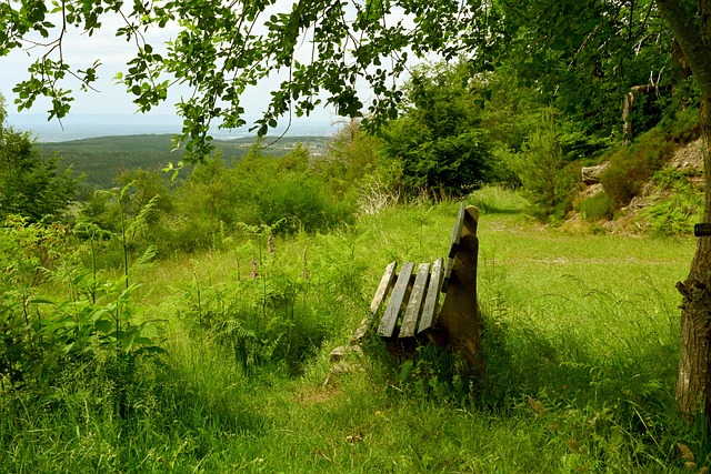 全能球員 全能球員